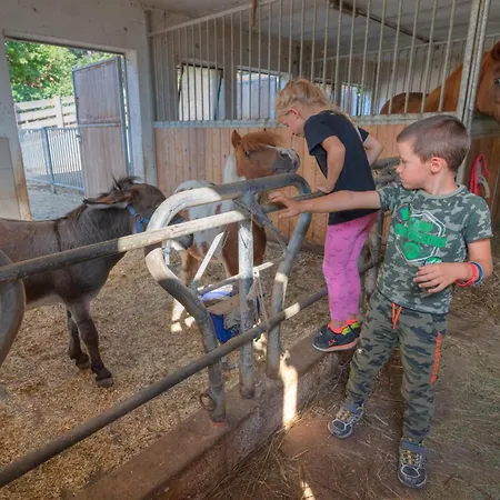 Agritur Maso Librar مزرعة للإقامة