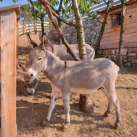 Agritur Maso Librar Vakantieboerderij
