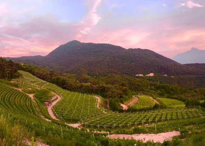 Agritur Maso Librar Bauernhof Trient