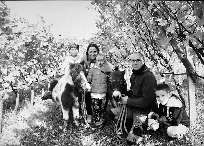 Agritur Maso Librar *