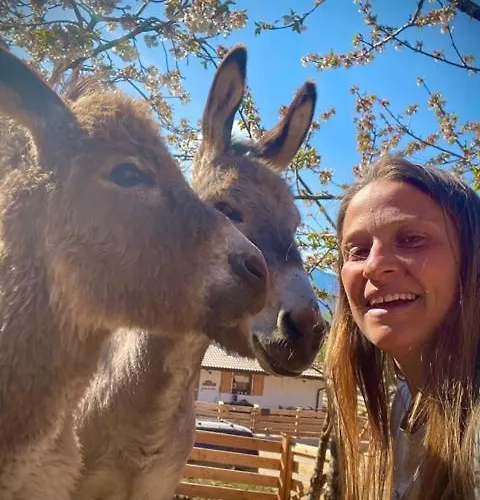 Agritur Maso Librar Bauernhof *