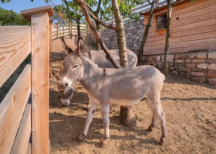 Agritur Maso Librar Bauernhof