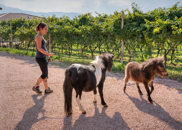 Agritur Maso Librar * Trient